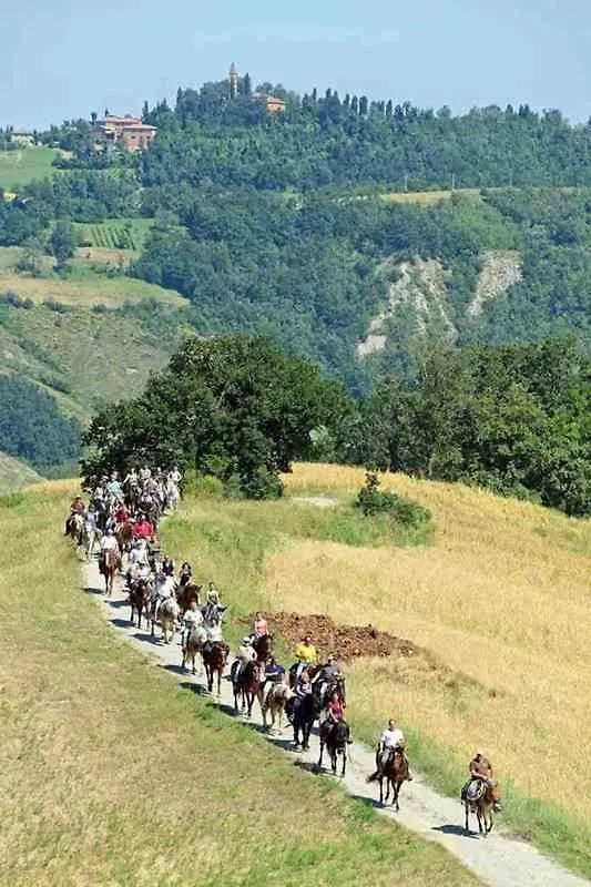 Villetta Immersa Nel Verde Monteombraro Lejlighed